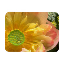 ロータスマグネットを開く