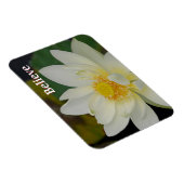 ロータス信じマグネット マグネット (右側)