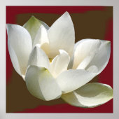 ロータス1 ポスター (正面)