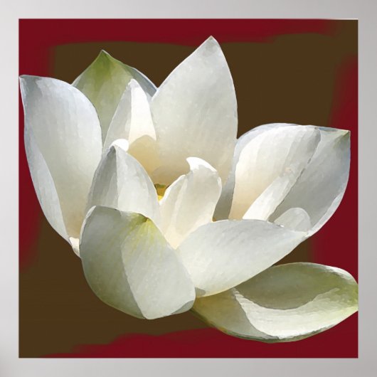 ロータス1 ポスター (正面)