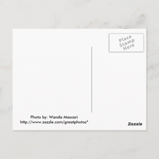 ロータス1 ポストカード (裏面)