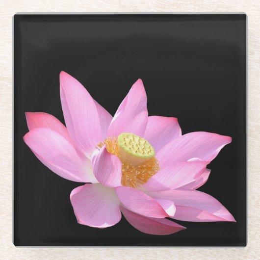 ロータス ガラスコースター (正面)