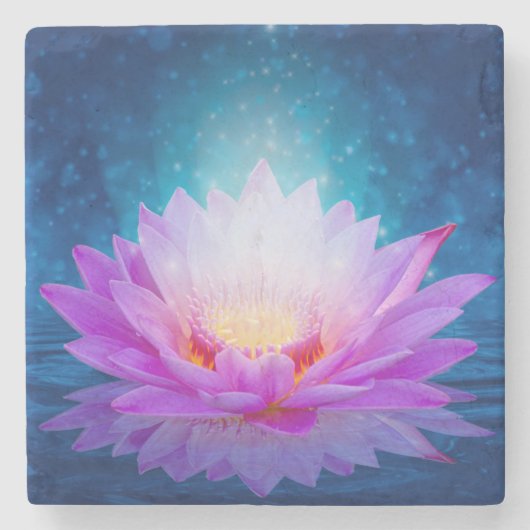 ロータス ストーンコースター (正面)