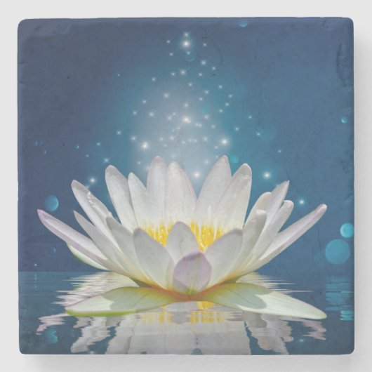 ロータス ストーンコースター (正面)