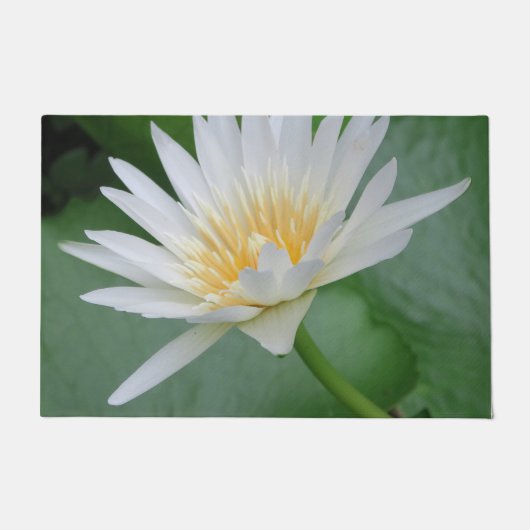 ロータス，ナマステ，瞑想，禅，店，植物， nat ドアマット (正面)