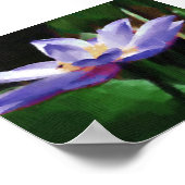 ロータス ポスター (角)