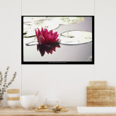 ロータス ポスター (キッチン)