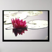 ロータス ポスター (正面)