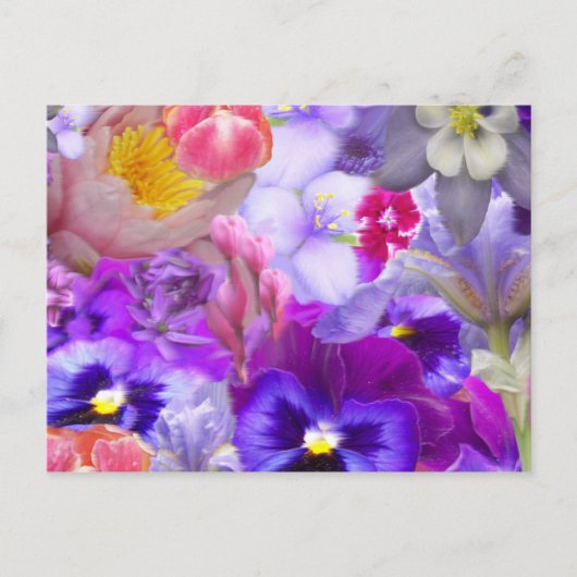 ロータリー庭園 ポストカード (正面)