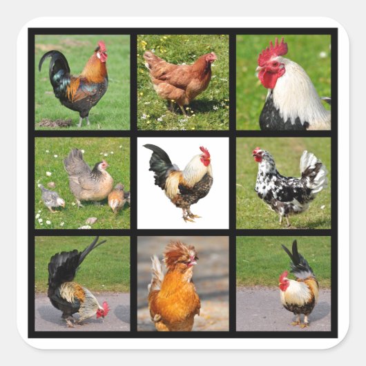 ローターと鶏のモザイク写真 スクエアシール (正面)
