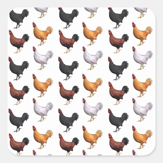 ローターの群れ スクエアシール (正面)