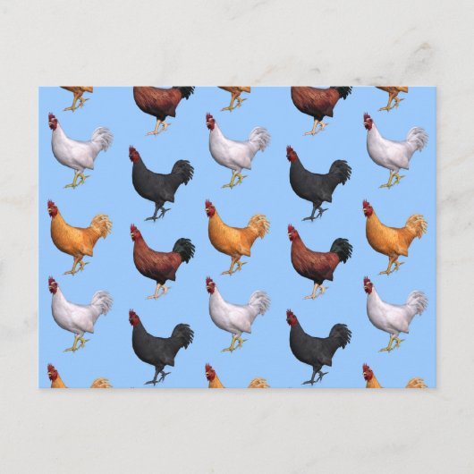 ローターの群れ ポストカード (正面)