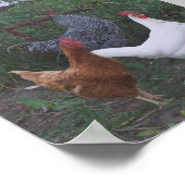 ローターX 3 ポスター (角)