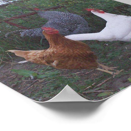 ローターX 3 ポスター (角)