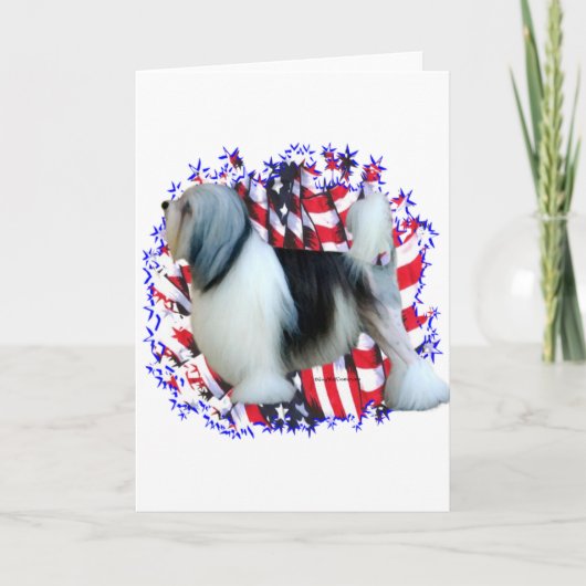 ローチェンパトリオ カード (正面)