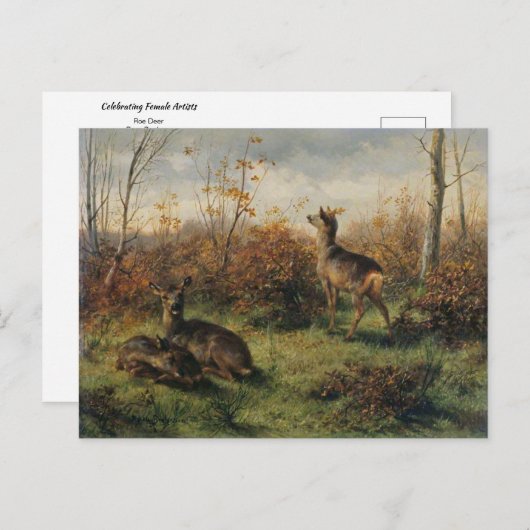 ローディアバイローザボンヒールハガキ ポストカード (正面/裏面)