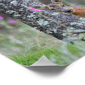 ローディアー ポスター (角)