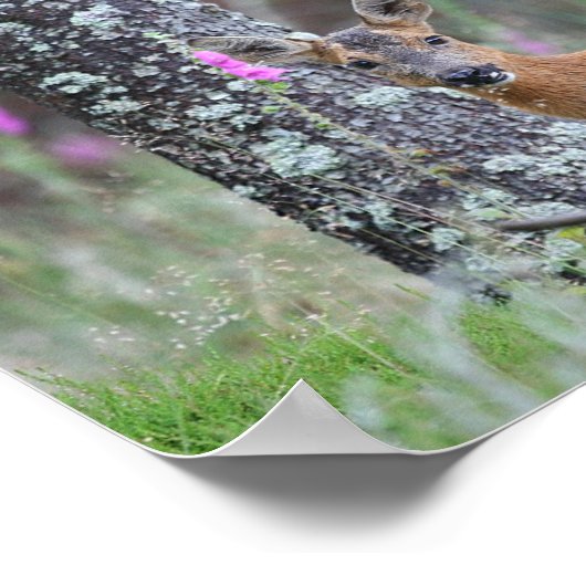 ローディアー ポスター (角)