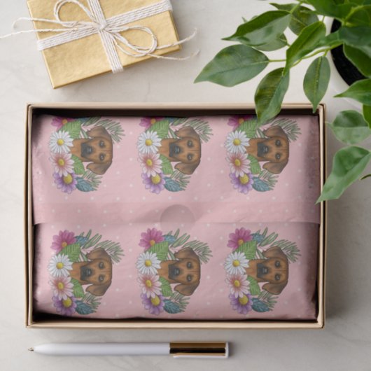 ローデシアンのリゲカラフルバックの花ピンク 薄葉紙 (ギフト)