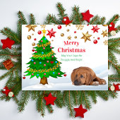 ローデシアンのリッジバッククリスマスホリディポストカード シーズンポストカード