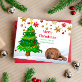 ローデシアンのリッジバッククリスマスホリディポストカード シーズンポストカード