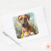 ローデシアンのリッジバックドッグとイースターエッグホリデー スクエアシール (封筒)