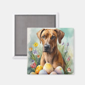 ローデシアンのリッジバックドッグとイースターエッグホリデー マグネット (正面/裏面)