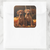 ローデシアンのリッジバックパピーオータムデライトカボチャ スクエアシール (バッグ)