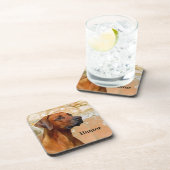 ローデシアンリッジバック犬 コースター (右側)