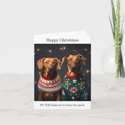 ローデシアン犬ハッピークリスマスカード カード (正面)