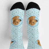 ローデシアン絵画リゲバック – Dog Art ソックス (上部)