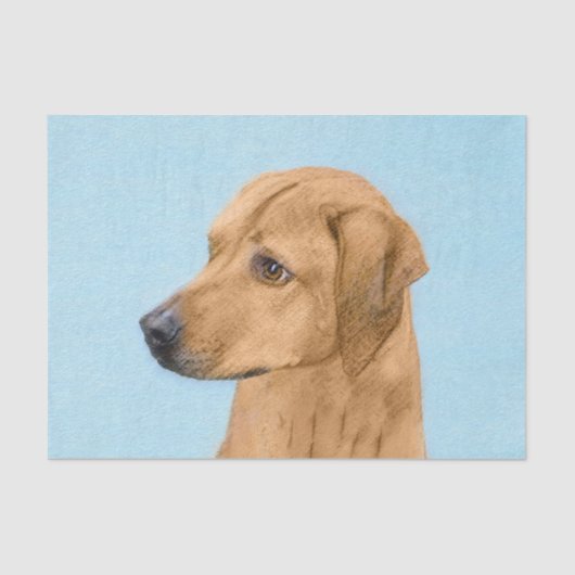 ローデシアン絵画リゲバック – Dog Art 薄葉紙 (正面)