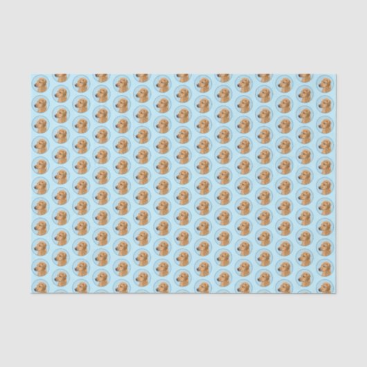 ローデシアン絵画リゲバック – Dog Art 薄葉紙 (正面)