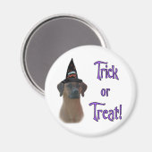 ローデシアン・リッジバックトリック マグネット (正面/裏面)