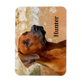 ローデシアン・リッジバックドッグ マグネット (縦)