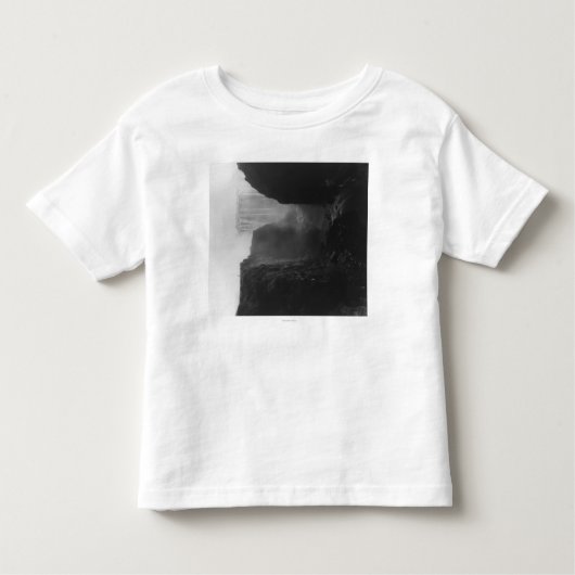 ローデシアPhotographRhodesiaのヴィクトリア滝 トドラーTシャツ (正面)
