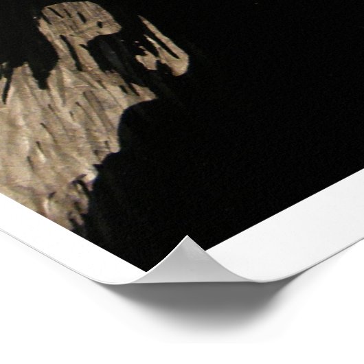 ローデント ポスター (角)