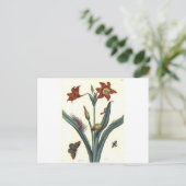 ロートリリーバイマリアシビッラメリアン ポストカード (スタンド正面)