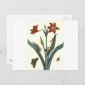 ロートリリーバイマリアシビッラメリアン ポストカード (正面/裏面)