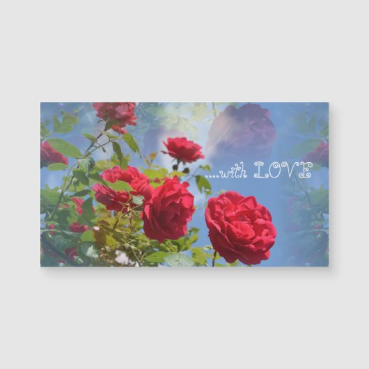 ロート・ローゼン・フール・ディッチ… (正面)