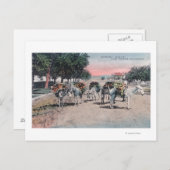 ロードされたロバは通りラスベガス、NM ポストカード (正面/裏面)