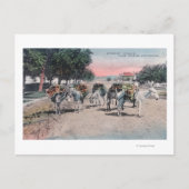 ロードされたロバは通りラスベガス、NM ポストカード (正面)