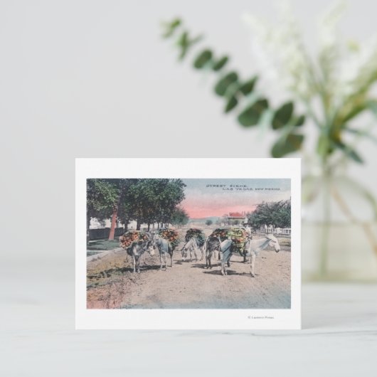 ロードされたロバは通りラスベガス、NM ポストカード (スタンド正面)