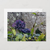 ロードアイランドポストカード ポストカード (正面/裏面)