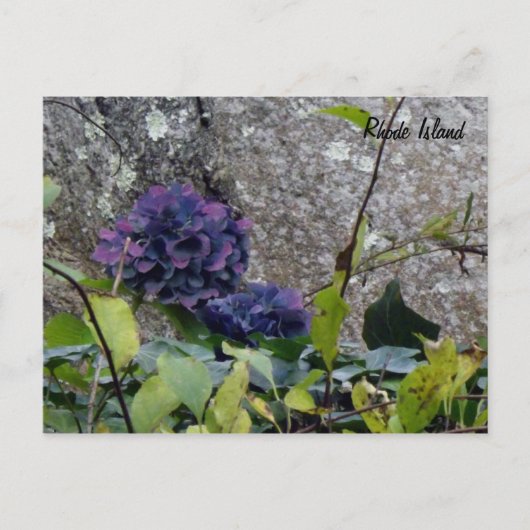 ロードアイランドポストカード ポストカード (正面)