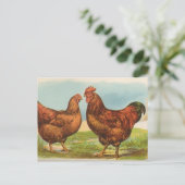 ロードアイランドレッズ ポストカード (スタンド正面)