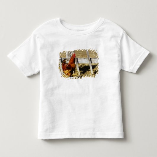 ロードアイランドレッドの雄鶏 トドラーTシャツ (正面)
