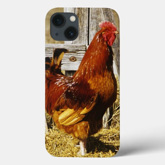 ロードアイランドレッドの雄鶏 Case-Mate iPhoneケース (裏面)