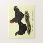 ロードアイランドレッドバンタム ジグソーパズル (縦)