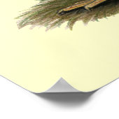 ロードアイランドレッドバンタム ポスター (角)